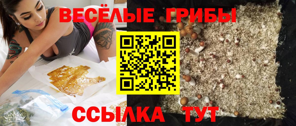 Галлюциногенные грибы мицелий Омск